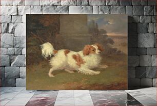 Πίνακας, A Blenheim Spaniel