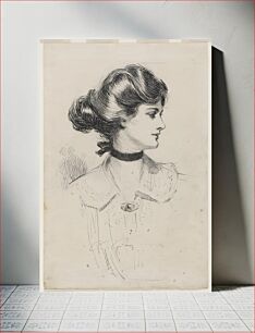 Πίνακας, A daughter of the south (1909) by Charles Dana Gibson