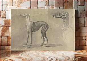 Πίνακας, A Greyhound