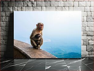 Πίνακας, A Monkey and Its Baby on a Ledge Ένας πίθηκος και το μωρό του σε μια προεξοχή