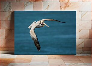 Πίνακας, A Pelican in Flight Ένας πελεκάνος σε πτήση