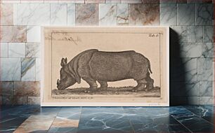 Πίνακας, A rhinoReviewed by contributorsThis translation was marked as correct by Google Translate users.Learn more