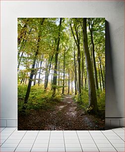 Πίνακας, A Serene Forest Path Ένα Γαλήνιο Δασικό Μονοπάτι