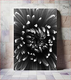 Πίνακας, Abstract Black and White Flower Αφηρημένο μαύρο και άσπρο λουλούδι