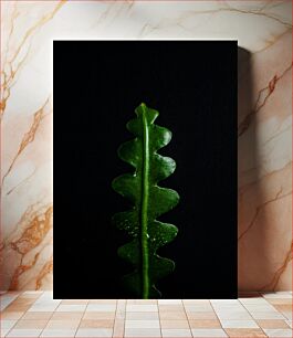 Πίνακας, Abstract Leaf on Black Background Αφηρημένο φύλλο σε μαύρο φόντο