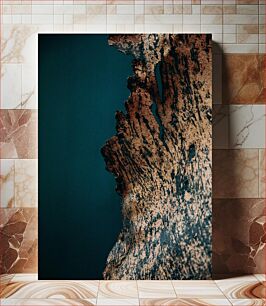 Πίνακας, Abstract Tree Bark Αφηρημένος φλοιός δέντρου