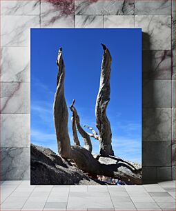 Πίνακας, Abstract Tree Sculpture Against Blue Sky Αφηρημένο γλυπτό δέντρου ενάντια στο γαλάζιο του ουρανού