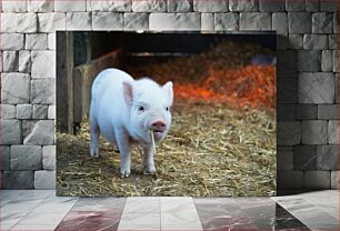 Πίνακας, Adorable Baby Pig Αξιολάτρευτο μωρό γουρουνάκι