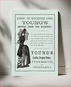 Πίνακας, Advertisement for Young's London Drapery House (1886) chromolithograph art