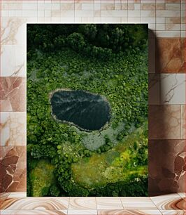 Πίνακας, Aerial View of a Forest with a Heart-Shaped Lake Εναέρια άποψη ενός δάσους με μια λίμνη σε σχήμα καρδιάς