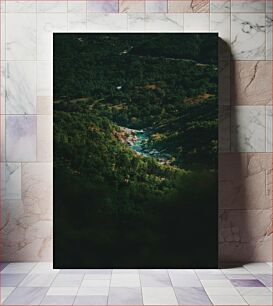 Πίνακας, Aerial View of a Forested Valley with a River Εναέρια άποψη μιας δασωμένης κοιλάδας με ένα ποτάμι