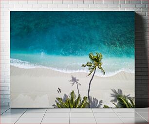 Πίνακας, Aerial View of a Tropical Beach Εναέρια άποψη μιας τροπικής παραλίας