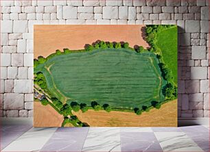 Πίνακας, Aerial View of Agricultural Fields Αεροφωτογραφία των αγροτεμαχίων