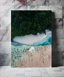 Πίνακας, Aerial View of Beach and Forest Αεροφωτογραφία της παραλίας και του δάσους