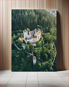 Πίνακας, Aerial View of Castle in Forest Αεροφωτογραφία του Κάστρου στο Δάσος