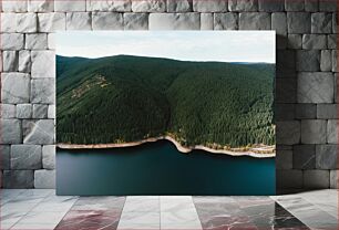 Πίνακας, Aerial View of Forest and Lake Αεροφωτογραφία του δάσους και της λίμνης