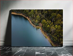 Πίνακας, Aerial View of Forest and Lake Εναέρια άποψη του δάσους και της λίμνης