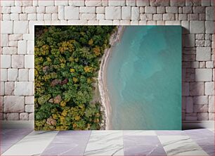 Πίνακας, Aerial View of Forest and Shoreline Αεροφωτογραφία του δάσους και της ακτογραμμής