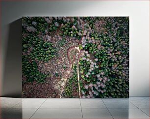 Πίνακας, Aerial View of Forest Αεροφωτογραφία του Δάσους