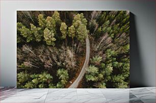 Πίνακας, Aerial View of Forest Path Αεροφωτογραφία του Forest Path