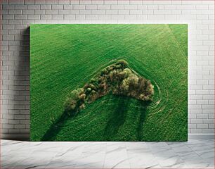 Πίνακας, Aerial View of Green Field with Trees Αεροφωτογραφία του πράσινου χωραφιού με δέντρα