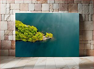 Πίνακας, Aerial View of Green Trees by Blue Water Αεροφωτογραφία των πράσινων δέντρων από το Blue Water