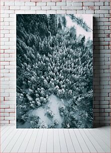 Πίνακας, Aerial View of Snowy Forest Αεροφωτογραφία του Χιονισμένου Δάσους