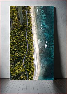 Πίνακας, Aerial View of Tropical Coastline Εναέρια άποψη της τροπικής ακτογραμμής