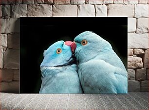 Πίνακας, Affectionate Blue Parrots Στοργικοί Μπλε Παπαγάλοι