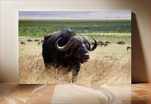 Πίνακας, African Buffalo in the Wild Αφρικανικός Βούβαλος στην άγρια ​​φύση