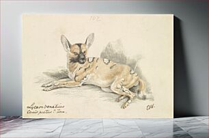 Πίνακας, African Wild Dog by Charles Hamilton Smith