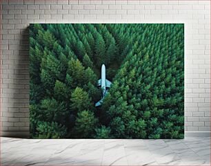 Πίνακας, Airplane in the Forest Αεροπλάνο στο Δάσος