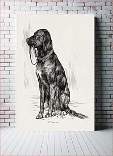 Πίνακας, Aldrich's dog (1880s) aesthetic drawing by John Davis Hatch