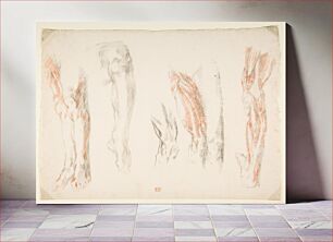 Πίνακας, Anatomical Studies of Legs