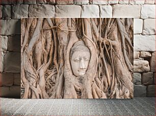 Πίνακας, Ancient Buddha Head Encased in Tree Roots Αρχαίο κεφάλι του Βούδα εγκλωβισμένο σε ρίζες δέντρων