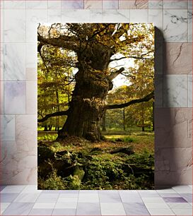 Πίνακας, Ancient Majestic Tree Αρχαίο Μεγαλοπρεπές Δέντρο