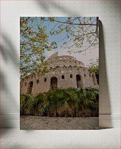 Πίνακας, Ancient Stone Structure Amidst Trees Αρχαία πέτρινη κατασκευή ανάμεσα σε δέντρα