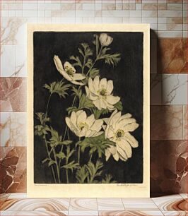 Πίνακας, Anemones, Bertha Jaques