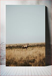 Πίνακας, Antelope in the Grasslands Αντιλόπη στα λιβάδια