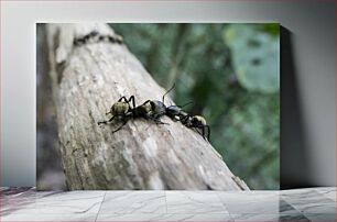Πίνακας, Ants on a Log Μυρμήγκια σε κούτσουρο