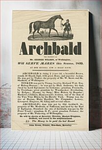 Πίνακας, Archbald, the property of Mr. George Wilson, of Walkington, will serve mares this season, 1839, at one guinea and a-half each