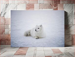 Πίνακας, Arctic Fox in Snow Arctic Fox στο χιόνι