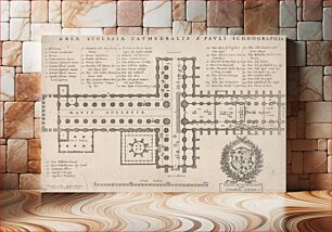 Πίνακας, Area Ecclesia Cathedralis S. Pauli Ichnographia