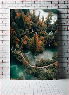 Πίνακας, Arial view of a scenic forest and river Αραλιακή θέα ενός γραφικού δάσους και ενός ποταμού