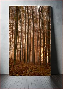 Πίνακας, Autumn Forest at Dawn Φθινοπωρινό Δάσος την Αυγή