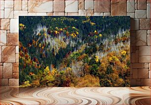 Πίνακας, Autumn Forest Landscape Φθινοπωρινό Δασικό Τοπίο