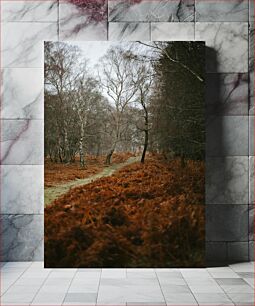 Πίνακας, Autumn Forest Path Φθινοπωρινό Δασικό Μονοπάτι