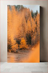 Πίνακας, Autumn Forest Scene Φθινοπωρινή Δασική Σκηνή