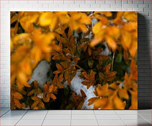 Πίνακας, Autumn Leaves with Snow Φθινοπωρινά φύλλα με χιόνι