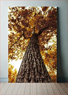 Πίνακας, Autumn Tree Perspective Φθινοπωρινή Προοπτική Δέντρου